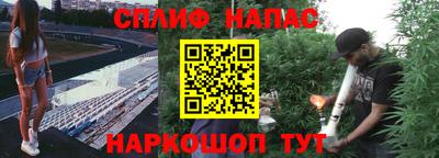 винт Новозыбков
