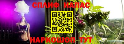 винт Новозыбков