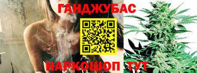 твердый Новодвинск