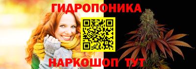 твердый Новодвинск